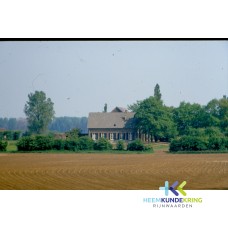 Copera- Daams F00002179